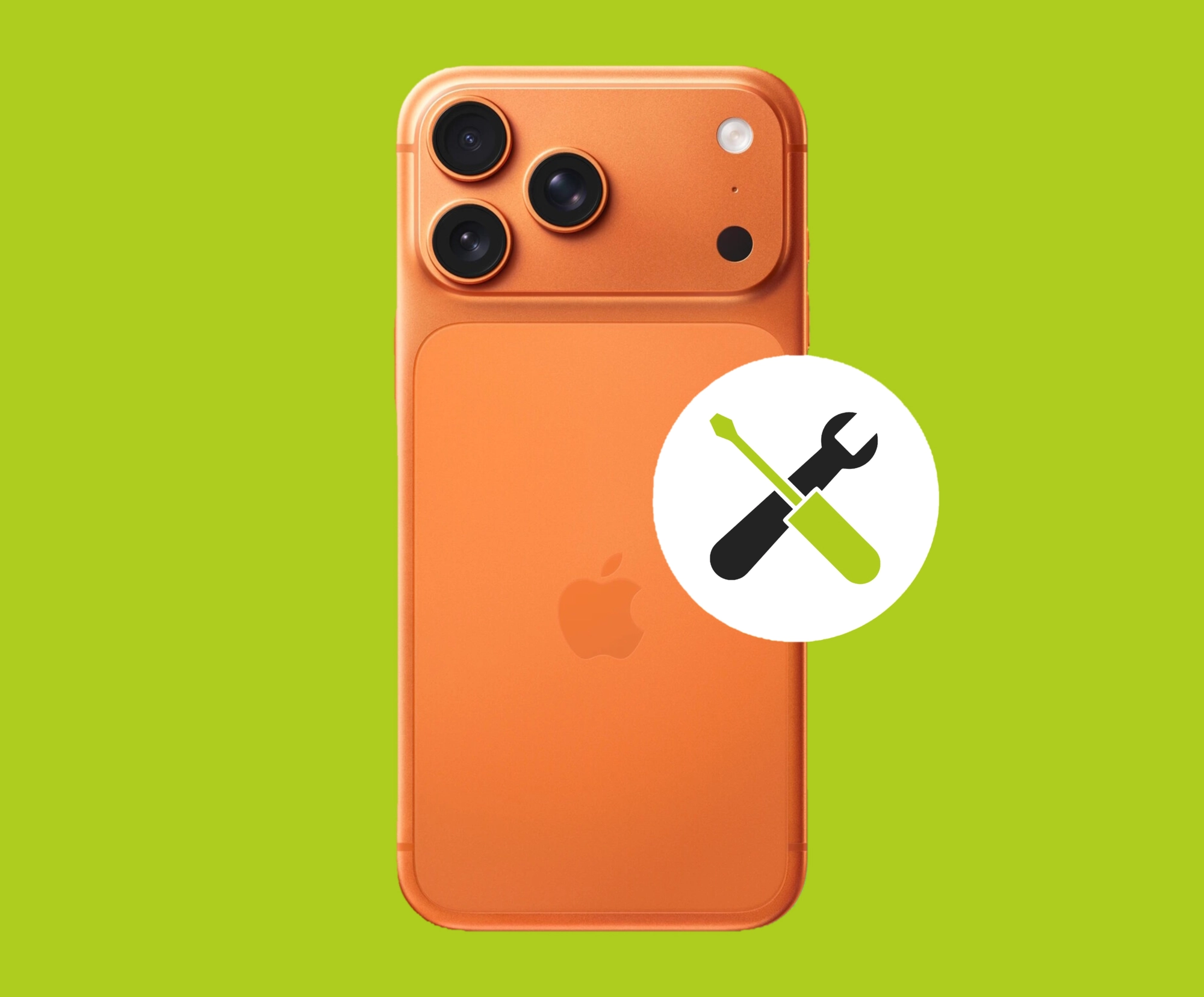 Ремонт смарт - часов Apple в г. Курган