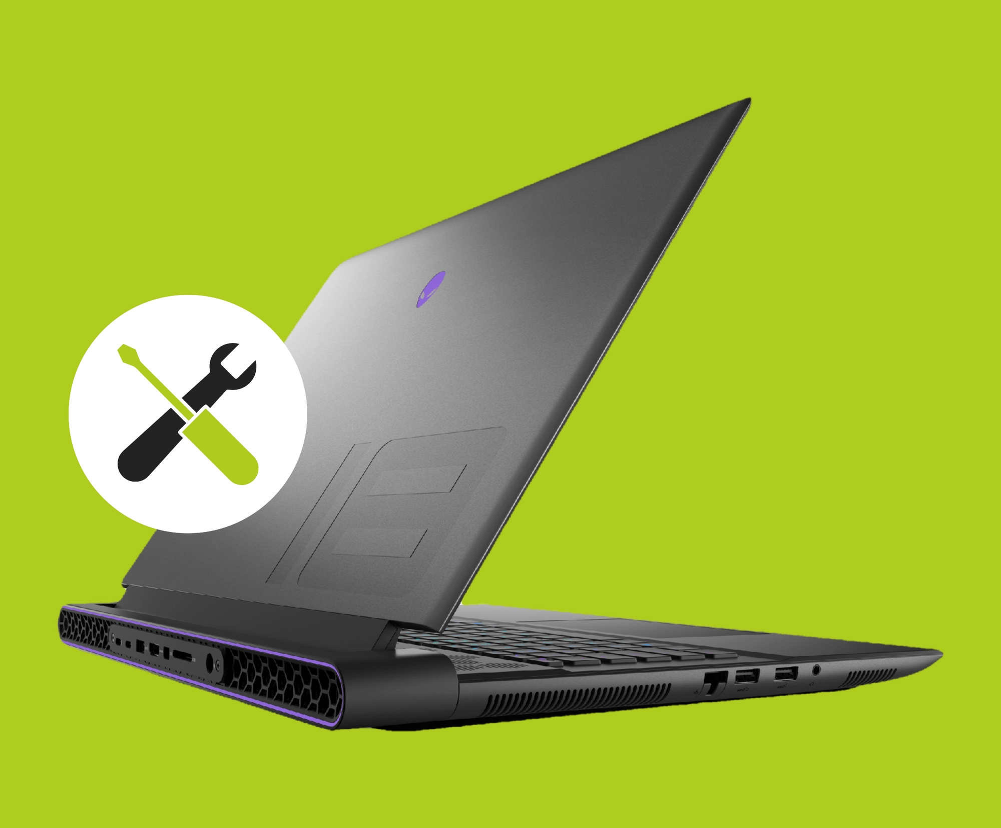 Ремонт ноутбука Dell в г. Курган